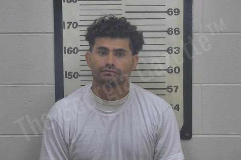 Ilvin Castro-Rauda — Coffee County Jail Bookings