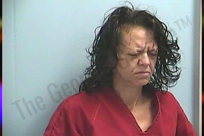 Misty Parker — Dawson County Jail Bookings