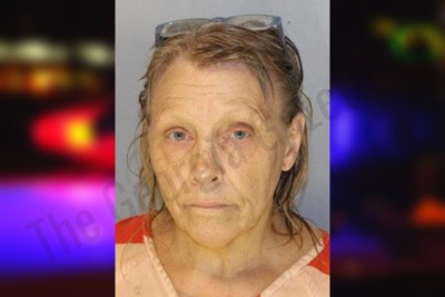 Amy Hawkins — Hall County Jail Bookings