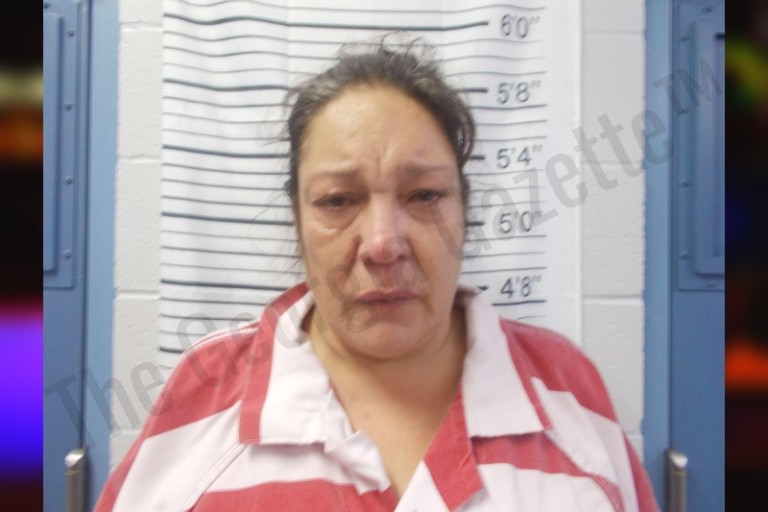 Michelle Robinson — Stephens County Jail Bookings