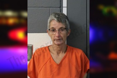 Johnna Ferguson — Lumpkin County Jail Bookings