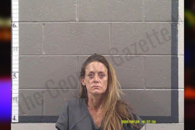 Ashley Hart — Banks County Jail Bookings