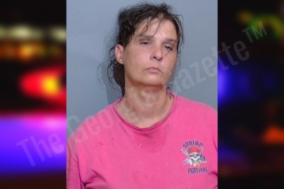 Tonya Lovvorn — Glynn County Jail Bookings