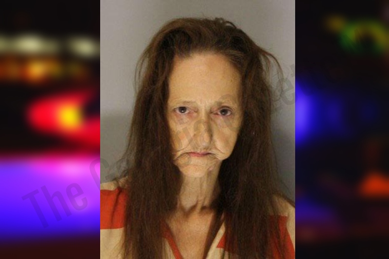 Barbara Raby — Hall County Jail Bookings