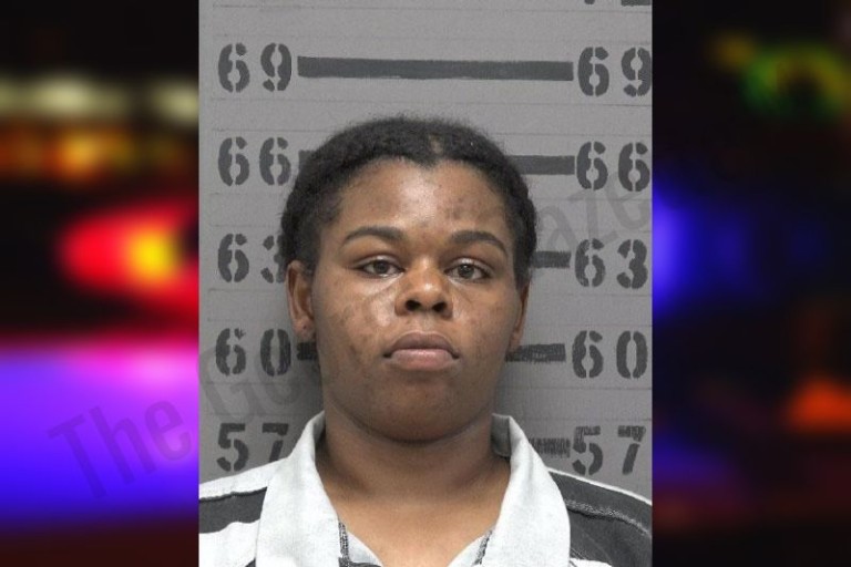 Dougherty County Jail Bookings – Page 2 – The Georgia Gazette