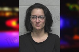 Sydney Westfall — Forsyth County Jail Bookings