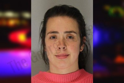 Margaret Williams — Hall County Jail Bookings