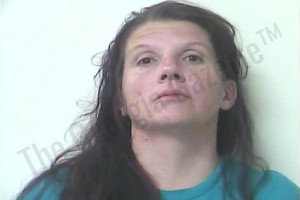 Jennifer McDaniel — Oconee County Jail Bookings