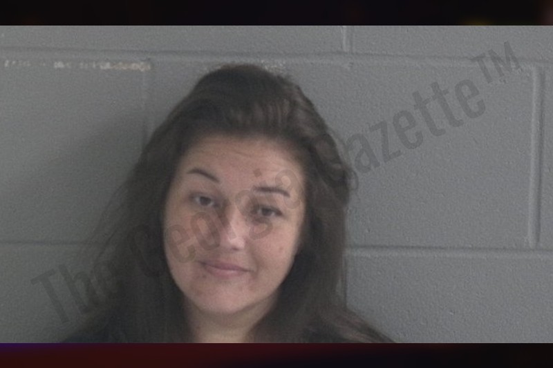 Brantley County Jail Bookings The Gazette