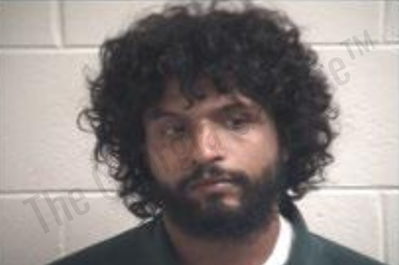 Alviaris Rosa — Henry County Jail Bookings