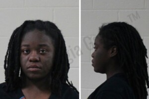 Taina Mathis — Houston County