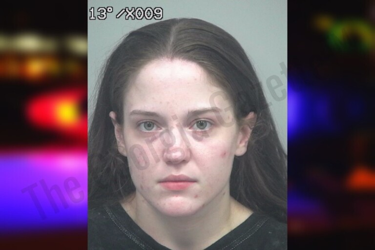Hailey Elizabeth Hailey Shepherd — Gwinnett County